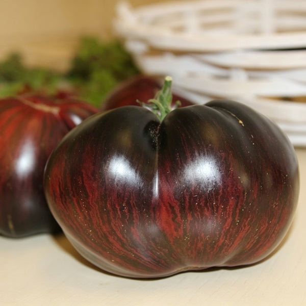 623 Marsha's Starfighter Beefsteak Tomato, 5 Seeds