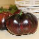 623 Marsha's Starfighter Beefsteak Tomato, 5 Seeds