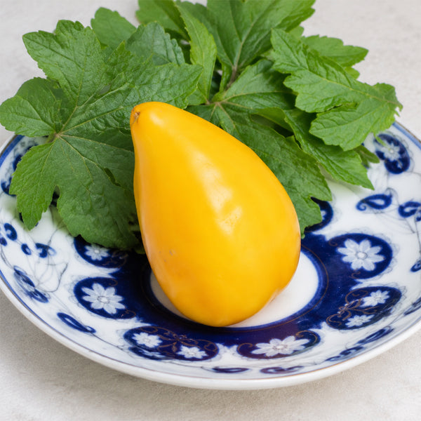 162 Almaty Orange Heart Tomato, 5 Seeds