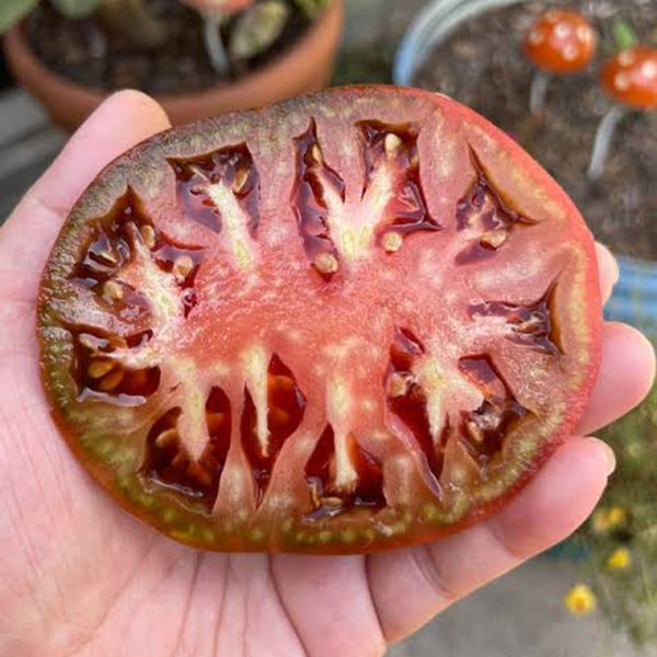 Black Krim Tomato, 20~30 Seeds