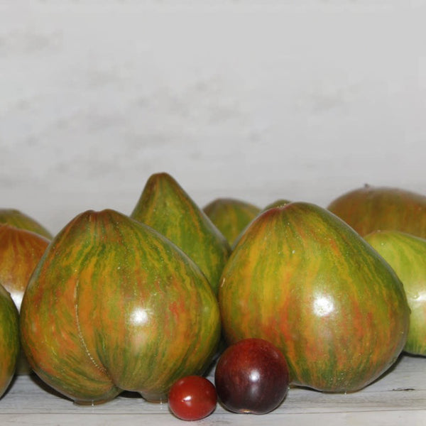 977 Malachite Elf Tomato, 5 Seeds