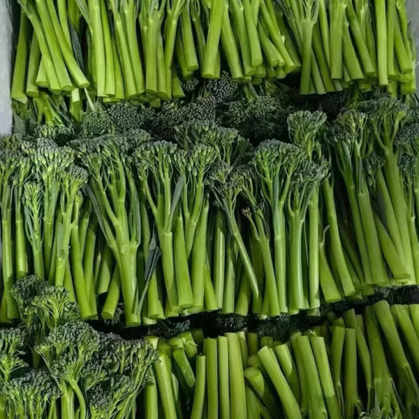 W962 Jie Mei Sprouting Broccoli, 1 Gram ≈ 200 Seeds