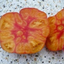 277 Tennessee Surprise Tomato, 5 Seeds