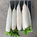 New White Jade Spring Radish Seeds, 5g