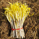 Huangxiangjiuwang Yellow Chive Seeds, 30g