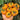 766 Summer Temptation Tomato, 5 Seeds