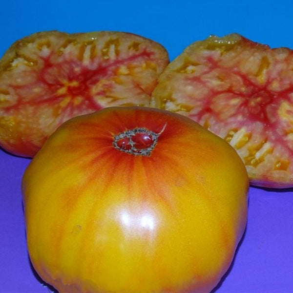 277 Tennessee Surprise Tomato, 5 Seeds