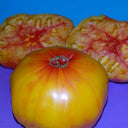 277 Tennessee Surprise Tomato, 5 Seeds