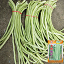 'Zhuzai' Thick-fleshed Sweet Long Bean Seeds, 20g