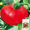 Krim Tomato, 10 Seeds