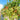 606 Eden No. 3 Dwarf Cherry Tomato, 3 Seeds