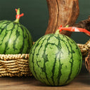 Yellow-Fleshed Sugar Globe Petite Watermelon Seeds, 15 Seeds