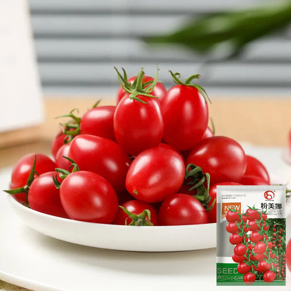 Fen Meina Cherry Tomato, 200 Seeds
