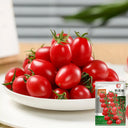Fen Meina Cherry Tomato, 200 Seeds