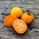 Amish Gold Tomato, 15 Seeds