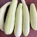 Yangchun White Melon Seeds, 50 Seeds