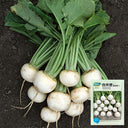 White Cherry Radish Seeds, 10g