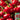 Red Hot Cherry Pepper, 15 Seeds