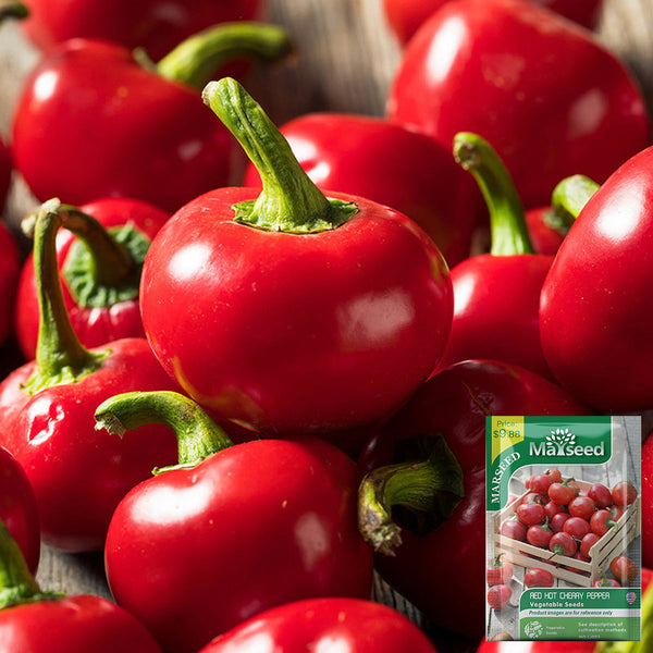 Red Hot Cherry Pepper, 15 Seeds