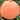 Extra Large Giant Pumpkin, 10 Seeds