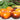 889 Natalie's Sun Blue Tomato, 5 Seeds