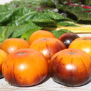 889 Natalie's Sun Blue Tomato, 5 Seeds