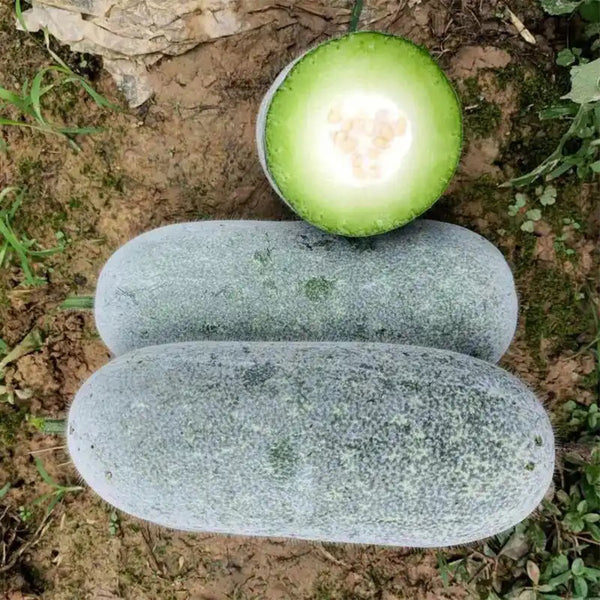 Mini Small Winter Melon No.1 Seeds, 1g