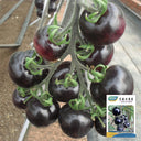 Black Knight Tomato Seeds, 25 Seeds