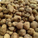 Yanhusuo Seeds, 50 Seeds