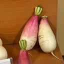 Sweet Pear' Radish Seeds, 10g