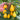 Yellow Pear Cherry Tomato Seeds, 2g