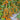 165 Orange Fountain Tomato, 5 Seeds