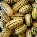Honey Boat Squash, 5-10 Seeds