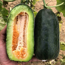 Little Darling Melon, 20 Seeds