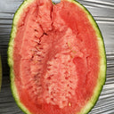 "Meihui 007" Watermelon Seeds, 200 Seeds