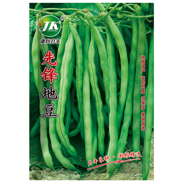 Pioneer Snap Bean Seeds, 5 × 10g Bags