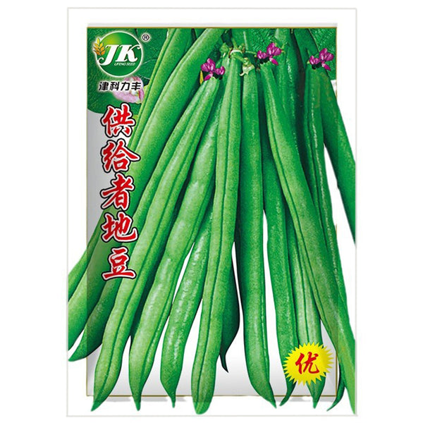 Supplier Snap Bean Seeds, 10g Per Bag