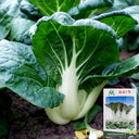 'Snowdrop No. 1' Milk Cabbage Seeds, 10g