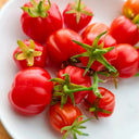 Accordion Cherry Tomato, 5 Seeds
