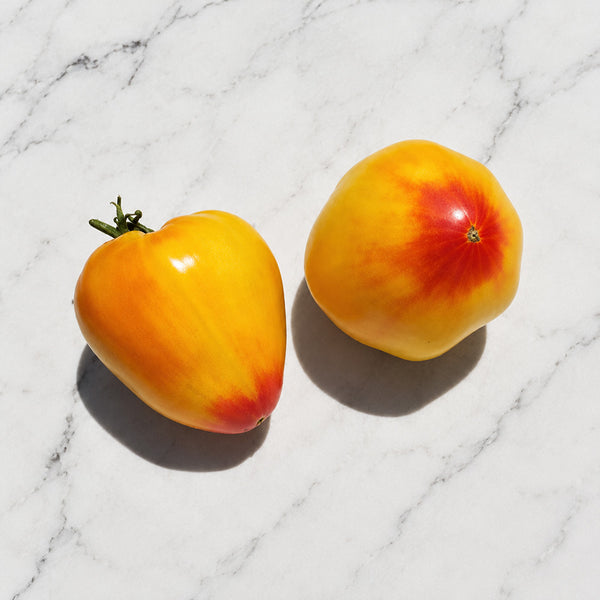 37 Grandmother's Greatness Tomato, 5 Seeds
