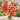 W1353 Candy Stripe Zinnia Mix, 100 Seeds