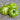 176 Dwarf Jade Beauty Tomato, 5 Seeds