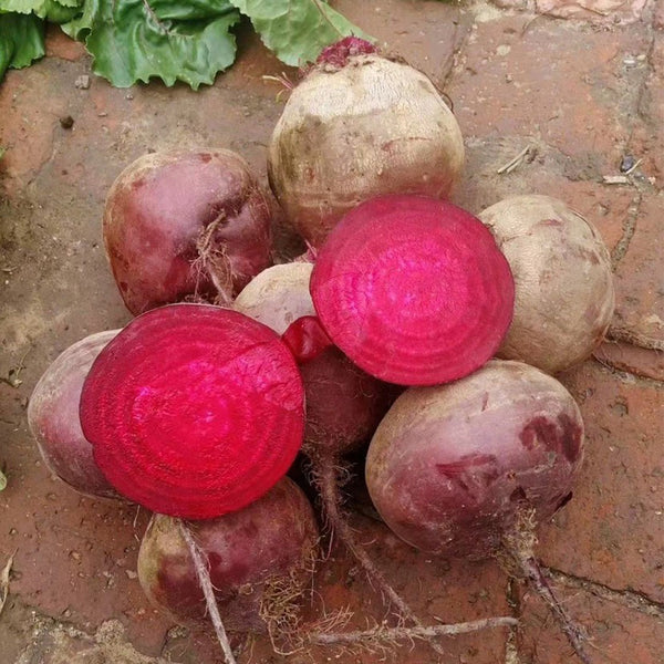 Globular Beetroot Seeds, 10g