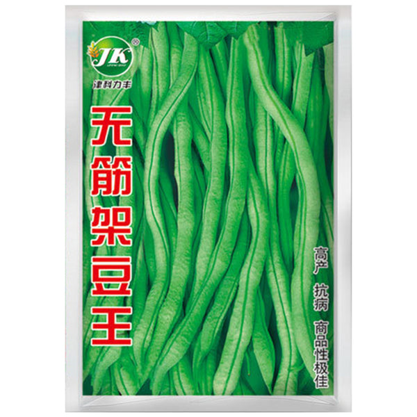 Stringless Snap Bean King Seeds, 5 × 10g Bags