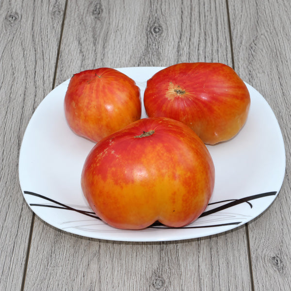 562 Tricolor Tomato, 5 Seeds