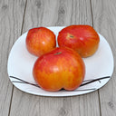 562 Tricolor Tomato, 5 Seeds