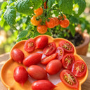 402 Mini San Marzano Tomato, 5 Seeds