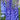 Blue Grandiflora Delphinium, 200 Seeds