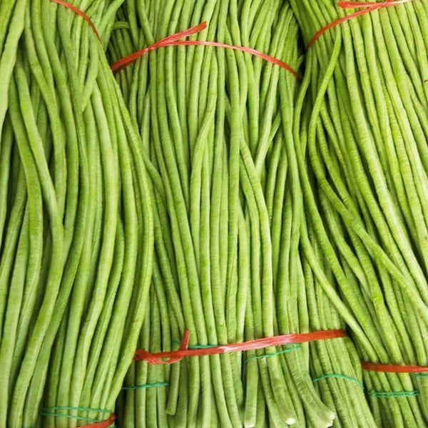 Yuyan Zaoguan Cowpea Seeds, 100g