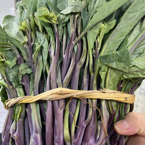 Curly-Leaf Red-Stem Chinese Kale Seeds, 10g
